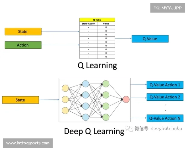 体育知识付费内容增长迅速，满足用户深度学习需求